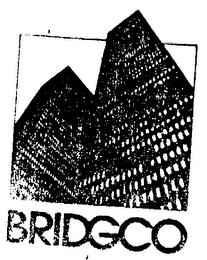 BRIDGCO logo