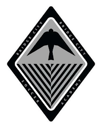 BRIDGE CITY SOCCER ACADEMY logo