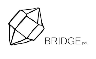 BRIDGE PDI. logo