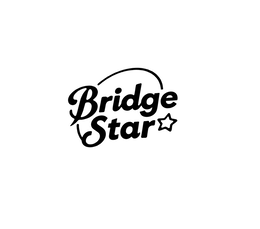 BRIDGE STAR logo