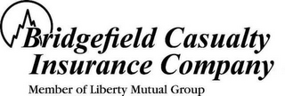BRIDGEFIELD CASUALTY INSURANCE COMPANY MEMBER OF LIBERTY MUTUAL GROUP logo