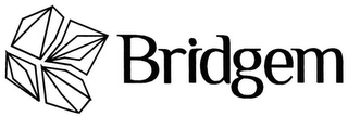 BRIDGEM logo