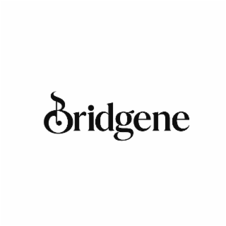 BRIDGENE logo