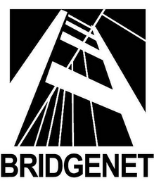 BRIDGENET logo