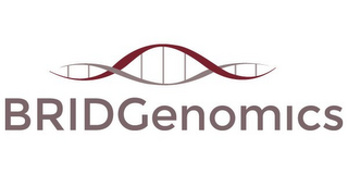 BRIDGENOMICS logo