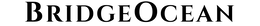 BRIDGEOCEAN logo