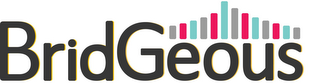 BRIDGEOUS logo