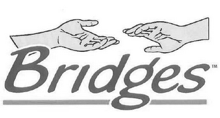 BRIDGES logo