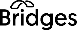 BRIDGES logo
