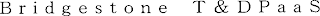 BRIDGESTONE T&DPAAS logo