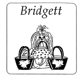 BRIDGETT logo
