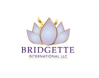 BRIDGETTE INTERNATIONAL LLC logo