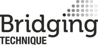 BRIDGING TECHNIQUE logo