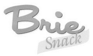 BRIE SNACK logo
