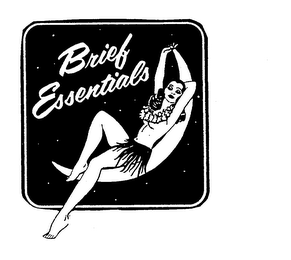 BRIEF ESSENTIALS logo