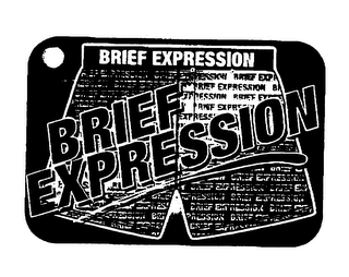 BRIEF EXPRESSION logo