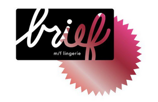 BRIEF M/F LINGERIE logo