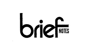 BRIEF NOTES logo