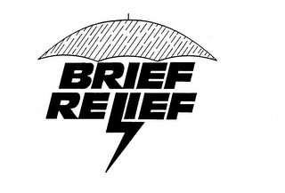 BRIEF RELIEF logo