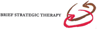 BRIEF STRATEGIC THERAPY logo