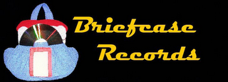 BRIEFCASE RECORDS logo