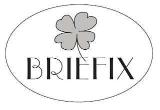 BRIEFIX logo