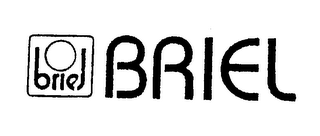 BRIEL logo