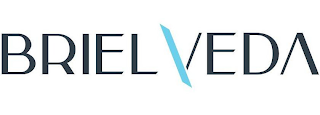 BRIEL VEDA logo