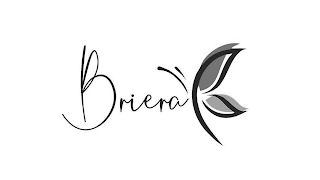BRIERA logo