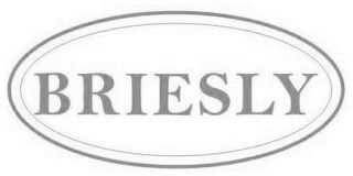 BRIESLY logo