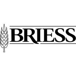 BRIESS logo