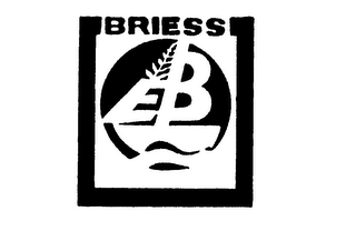 BRIESS EB logo