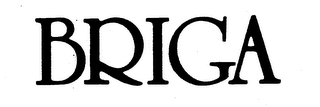 BRIGA logo