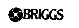 BRIGGS logo