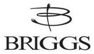 BRIGGS logo