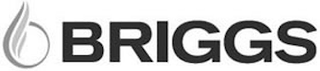 BRIGGS logo
