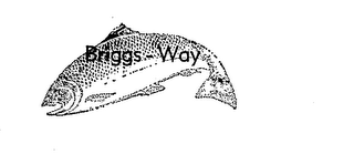 BRIGGS-WAY logo