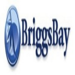 BRIGGSBAY