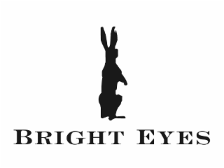 BRIGHT EYES logo