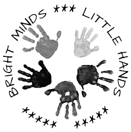 BRIGHT MINDS LITTLE HANDS logo