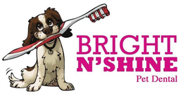 BRIGHT N'SHINE PET DENTAL logo