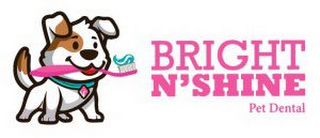 BRIGHT N'SHINE PET DENTAL logo