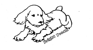 BRIGHT POODLE logo