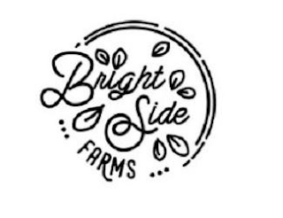 BRIGHT SIDE FARMS logo