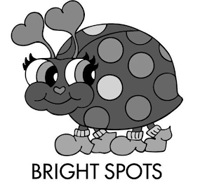 BRIGHT SPOTS logo