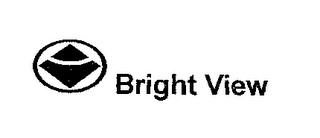 BRIGHT VIEW logo