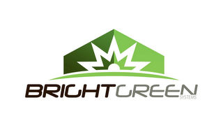BRIGHTGREEN SYSTEMS logo