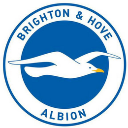 BRIGHTON & HOVE ALBION logo