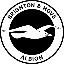 BRIGHTON & HOVE ALBION logo