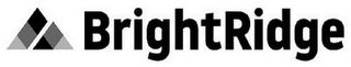 BRIGHTRIDGE logo